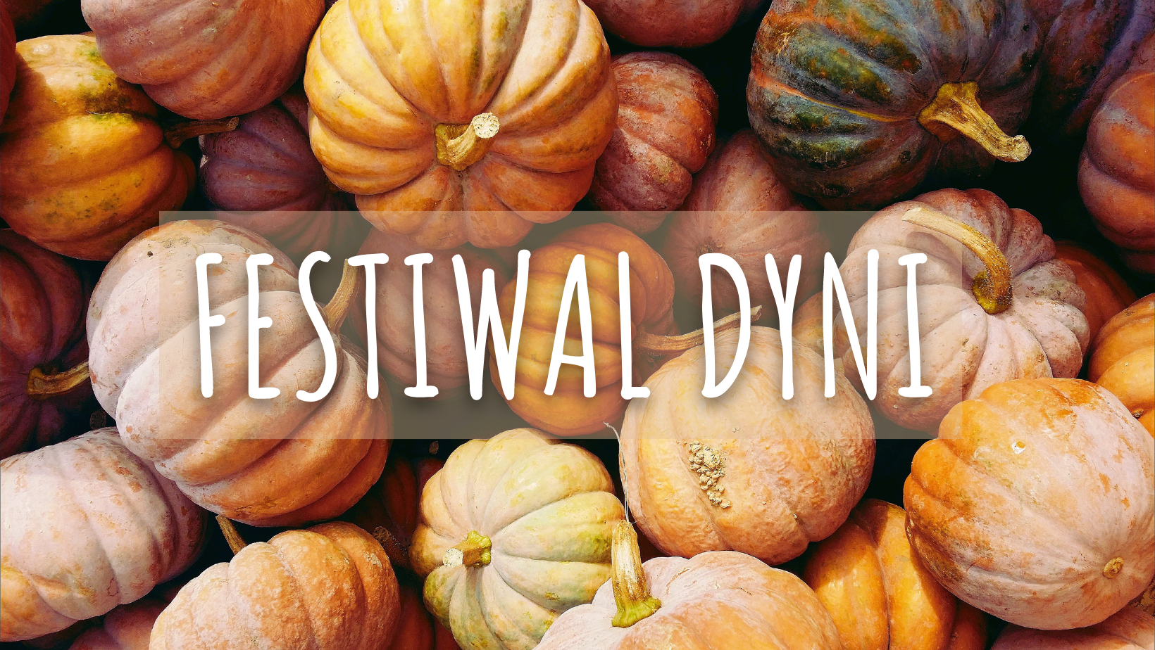 Festiwal dyni